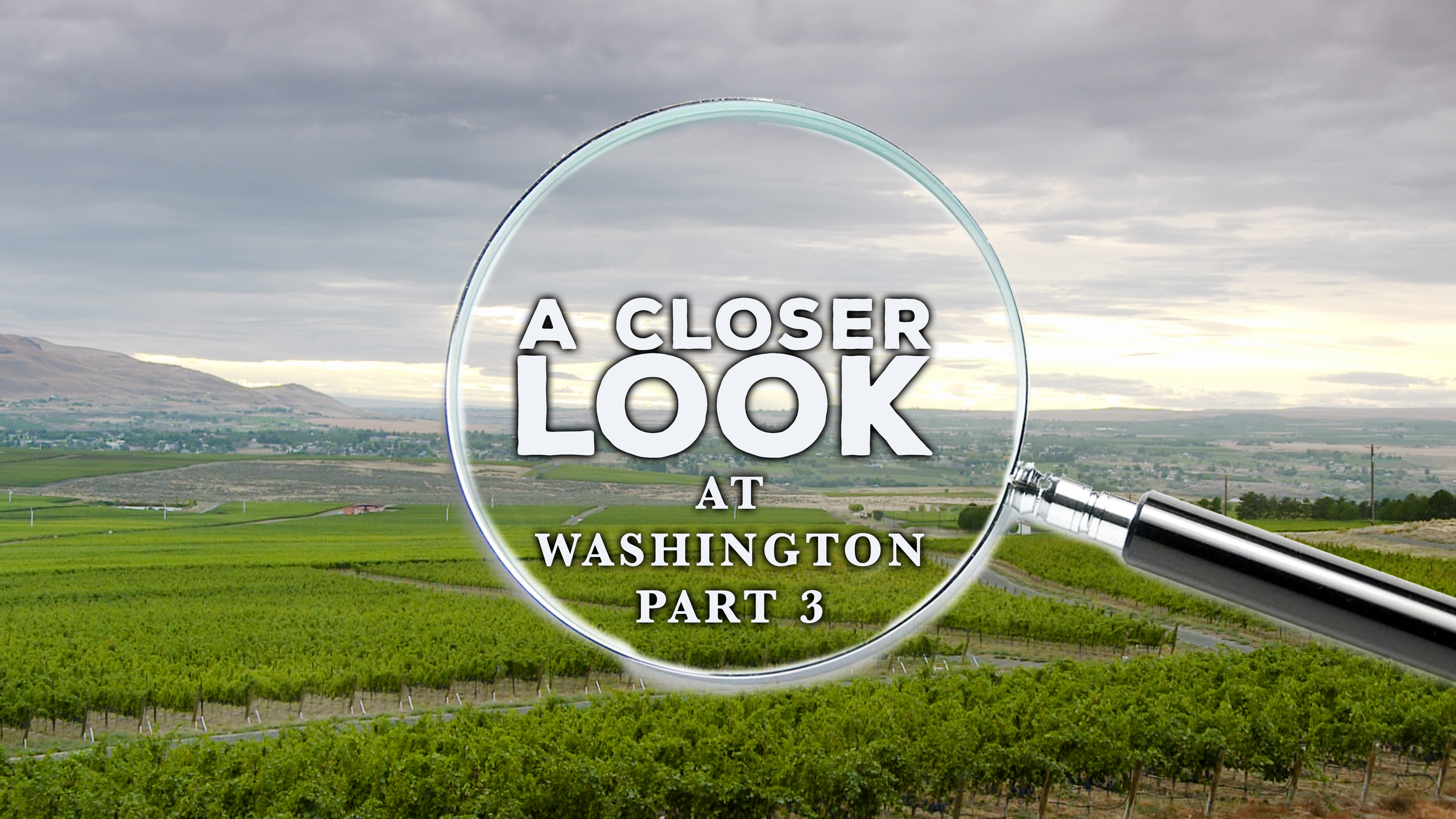 A Closer Look at Washington State: Part 3