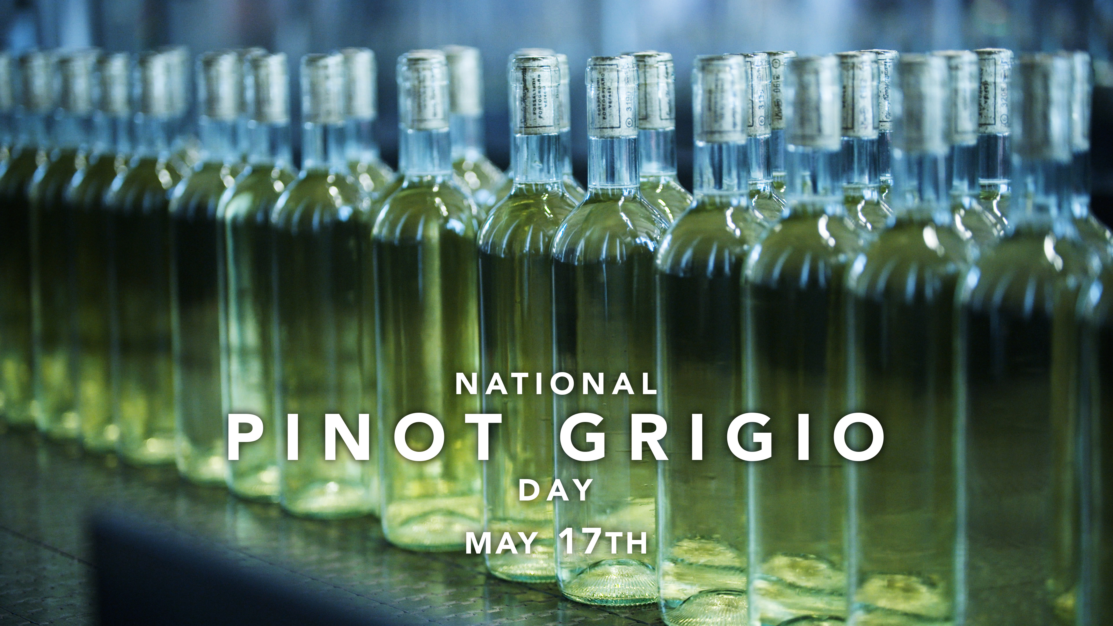 Pinot Grigio Day
