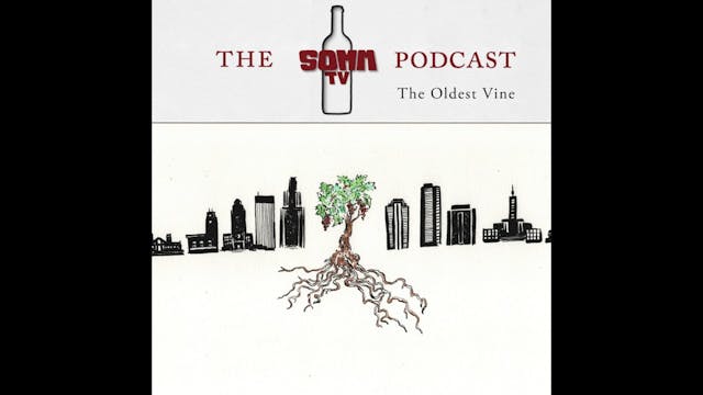 The Oldest Vine