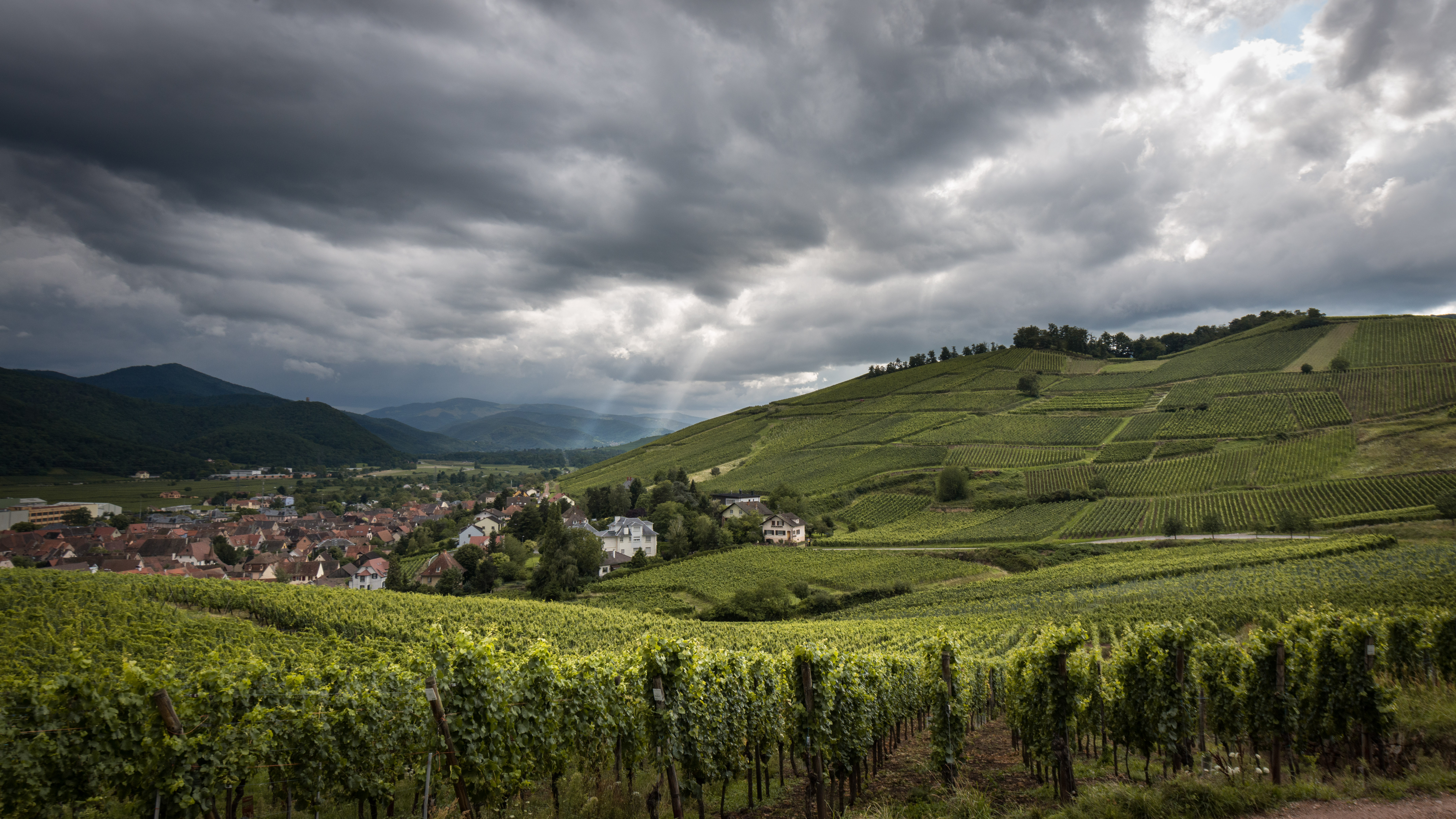 The Beauty of Alsace, France