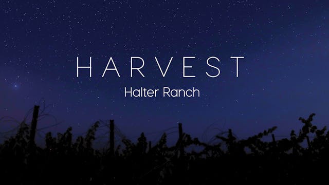 Harvest: Halter Ranch