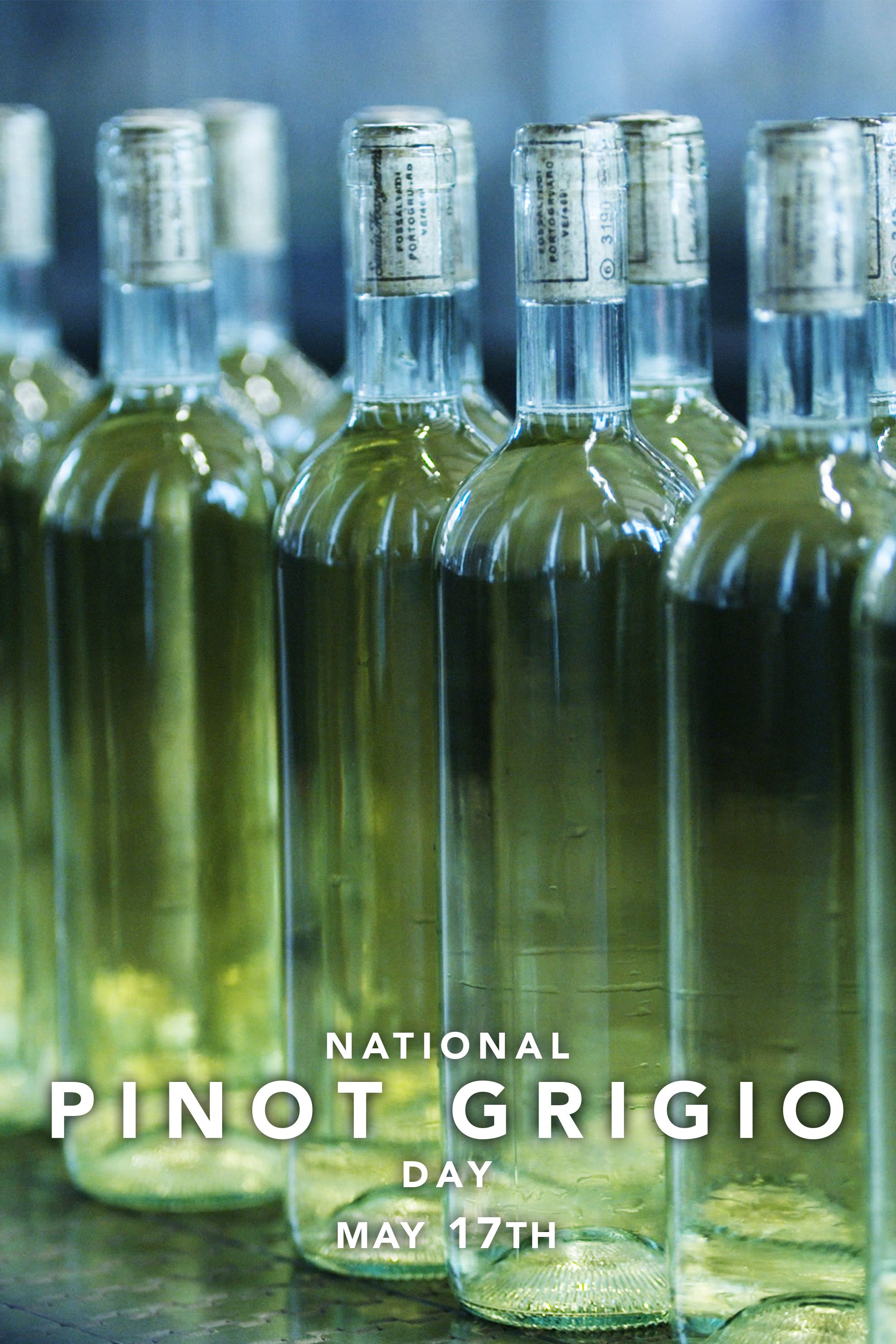 Pinot Grigio Day