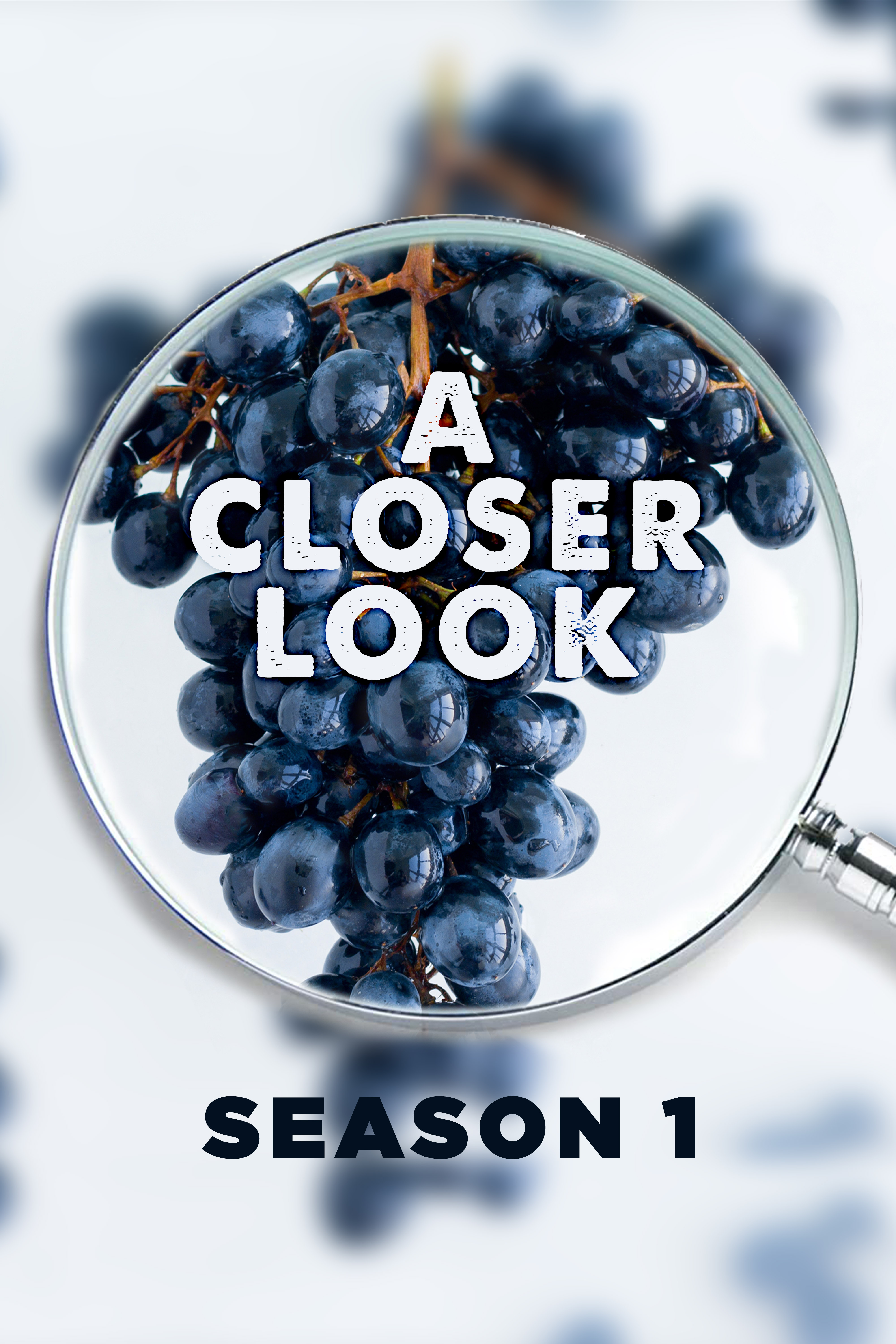 A Closer Look at the world of wine