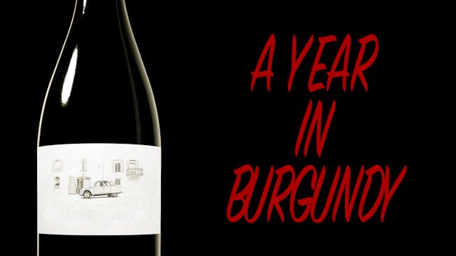 A Year in Burgundy