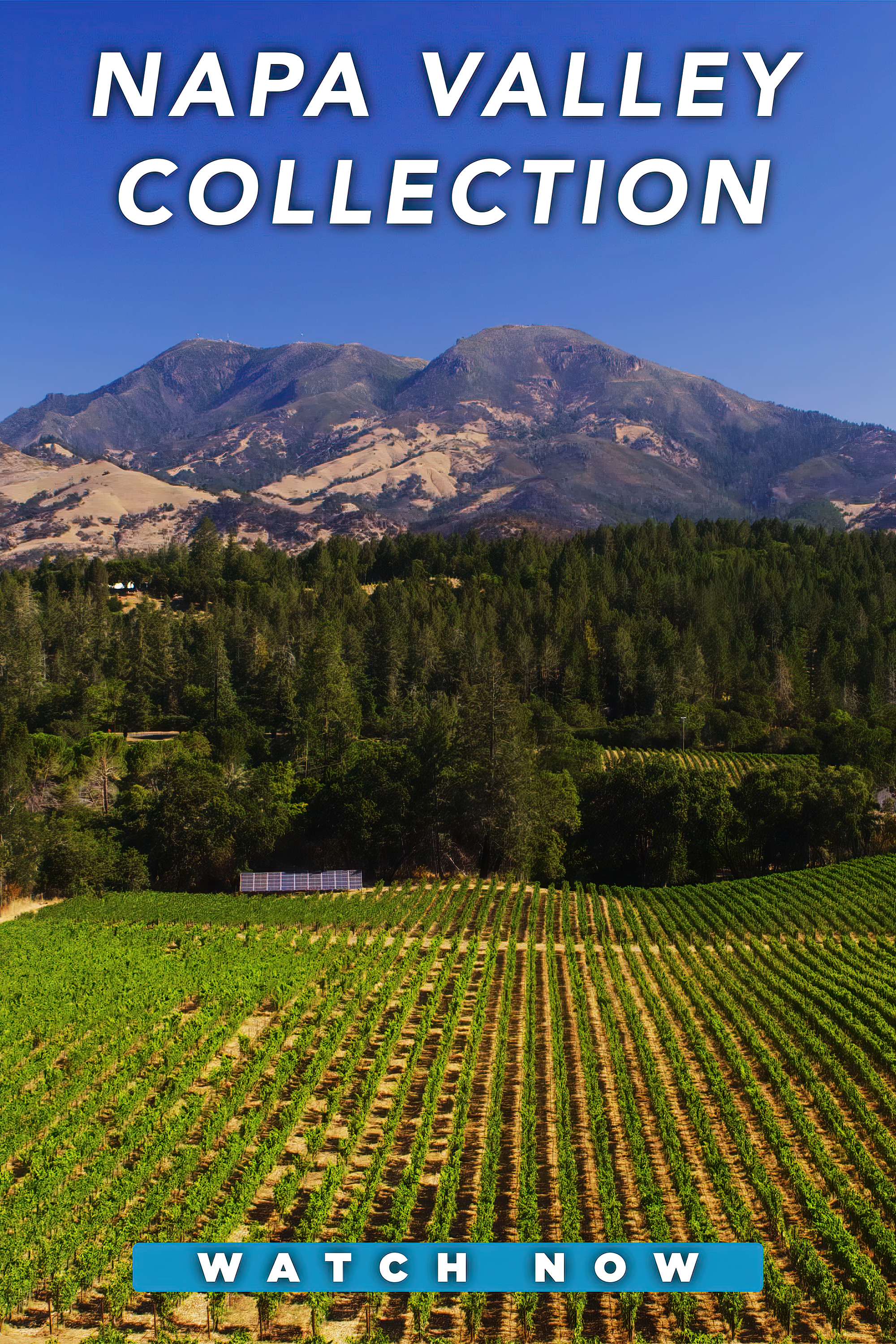 Napa Valley Collection