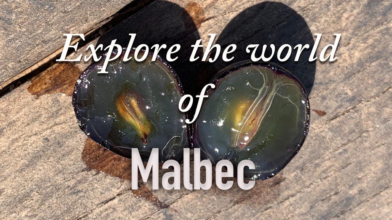 Explore the World of Malbec