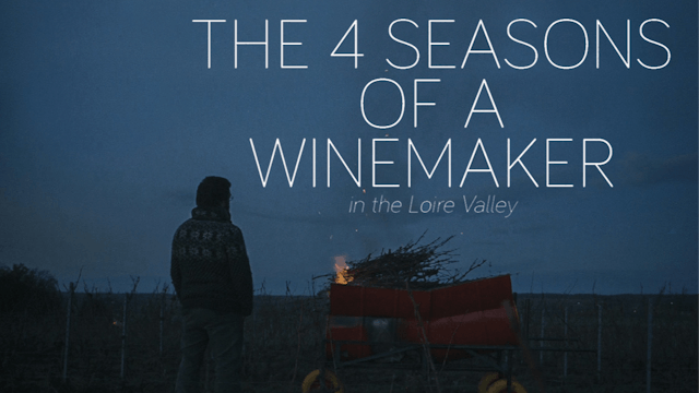 The 4 Seasons of a Winemaker