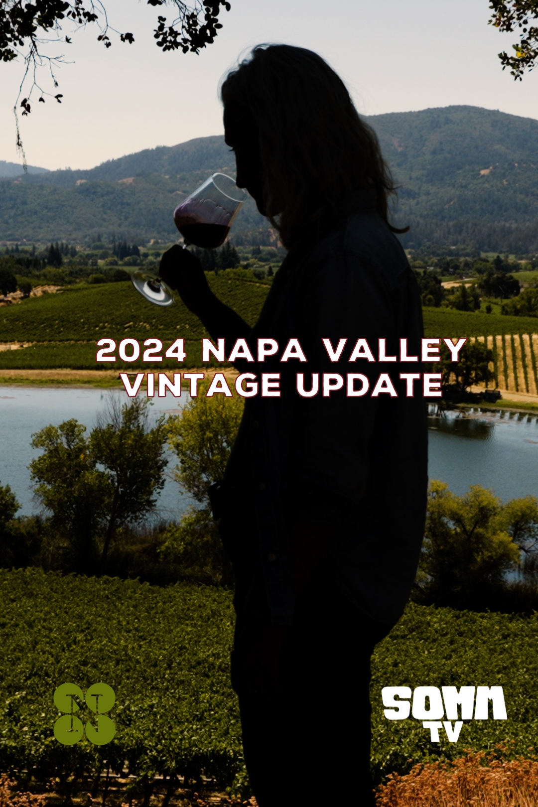 Napa Valley Vintage Update: 2024