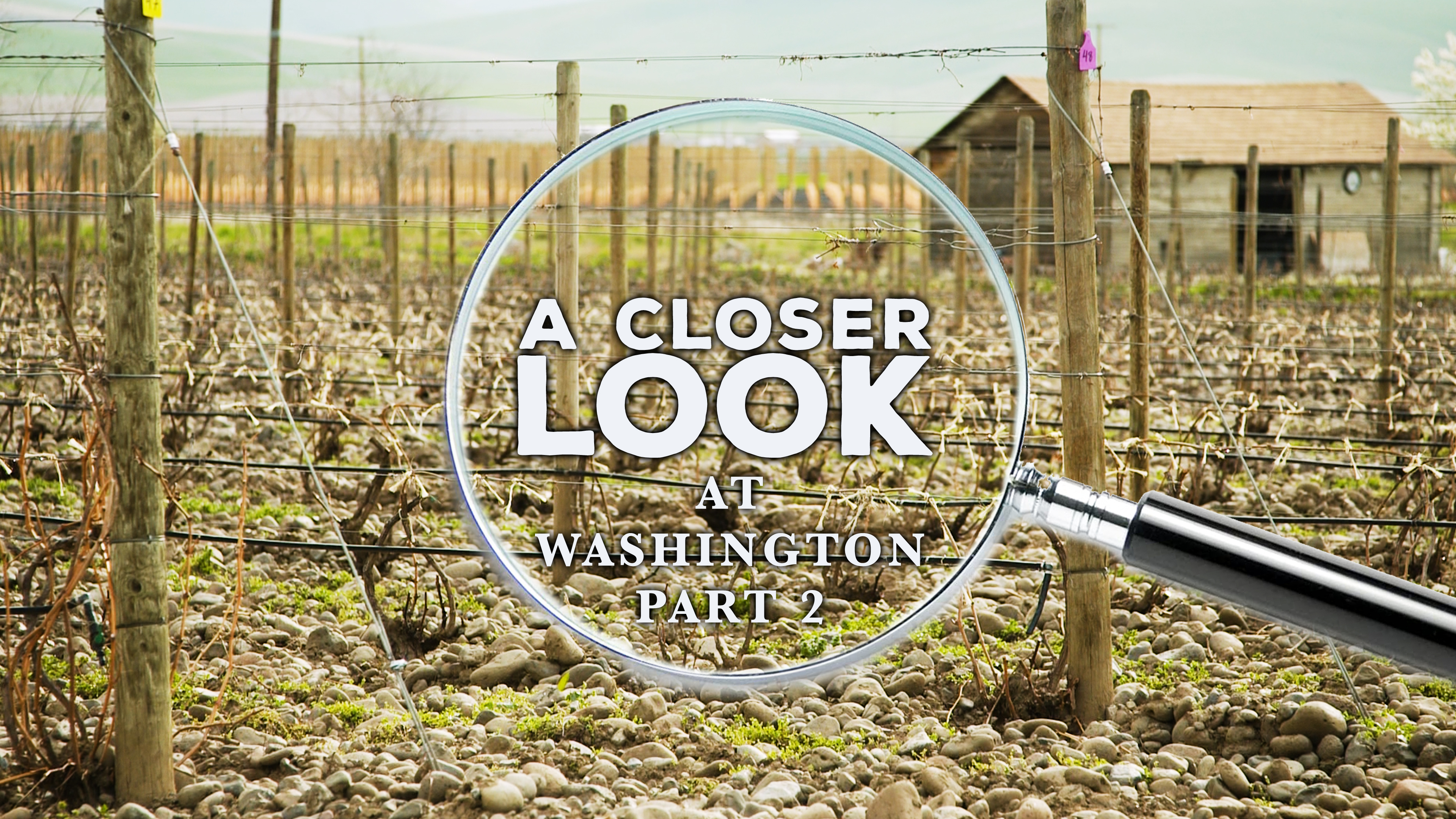 A Closer Look at Washington State: Part 2