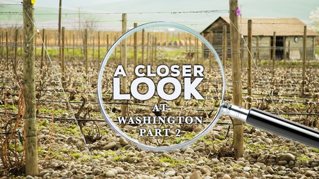 A Closer Look at Washington State: Part 2