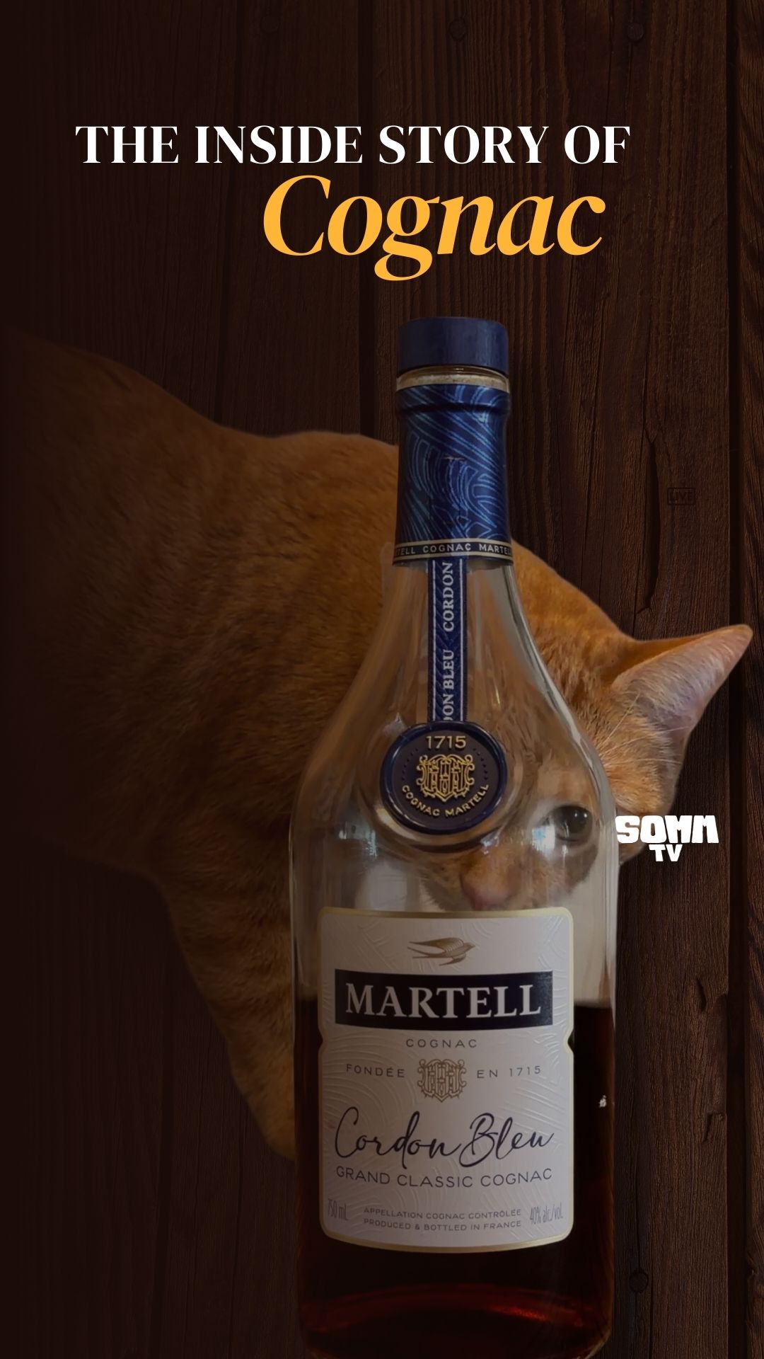 The Inside Story of Cognac