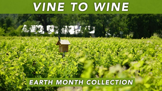 Vine to Wine: Earth Month Collection