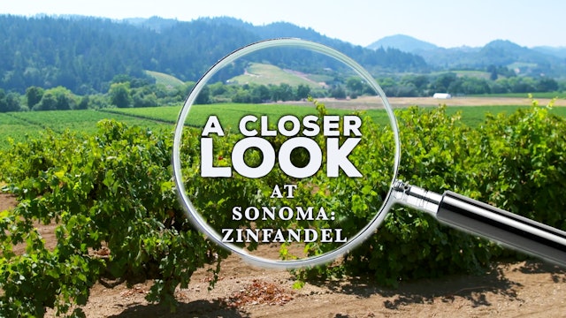 A Closer Look at Sonoma Zinfandel