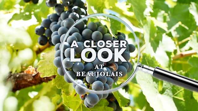 A Closer Look at Beaujolais