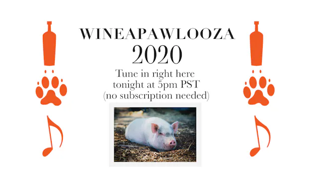 WineaPAWLooza Live Auction 2020