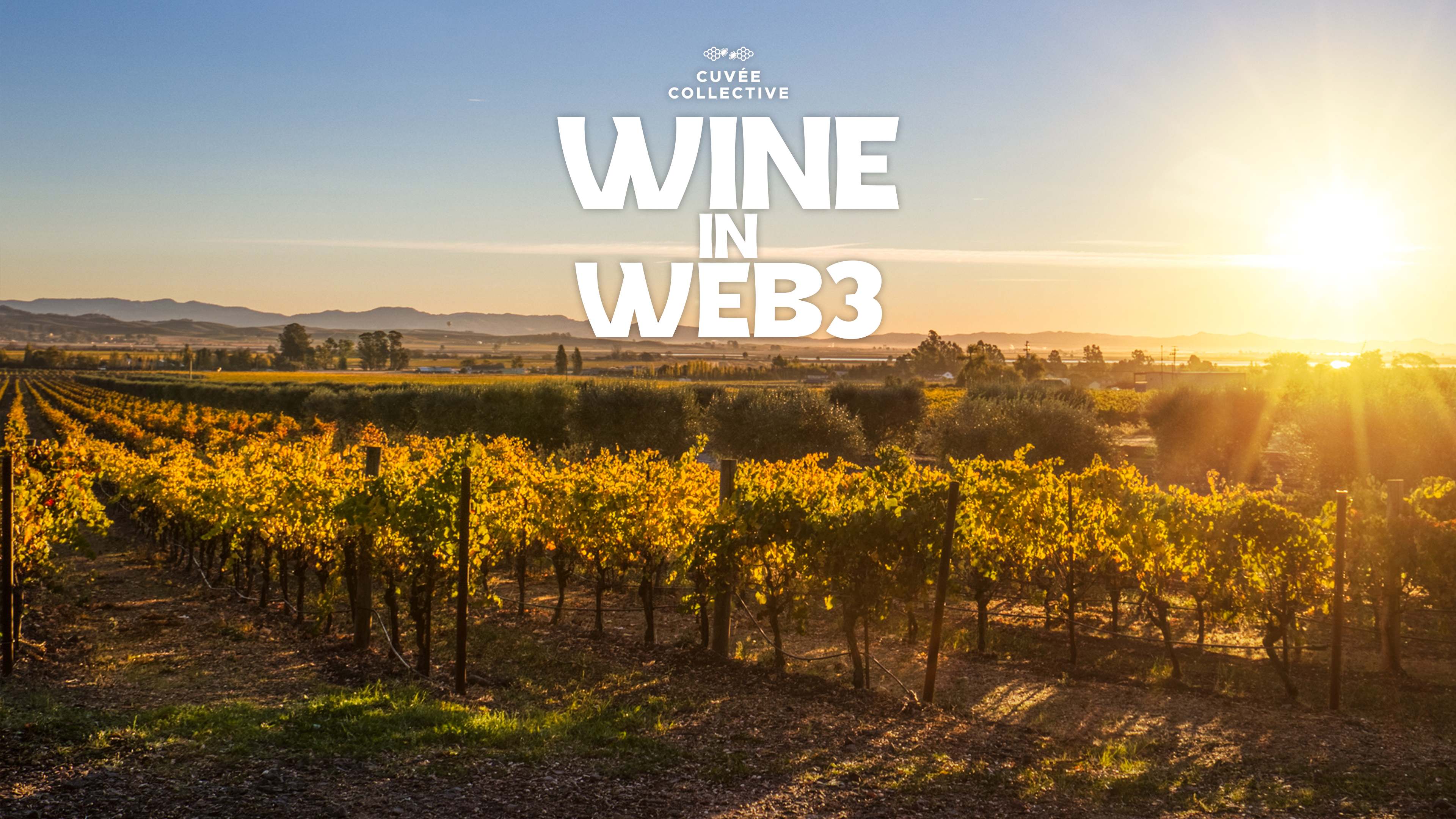Wine in Web3