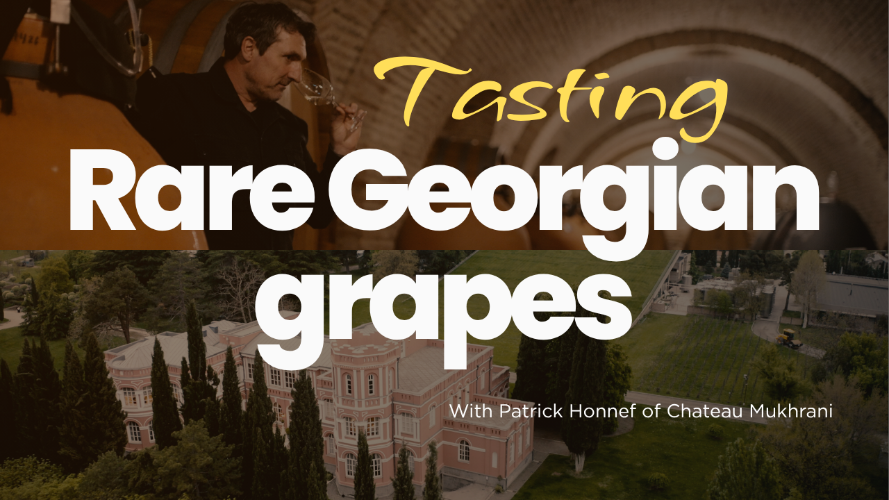 Tasting the grapes of Georgia
