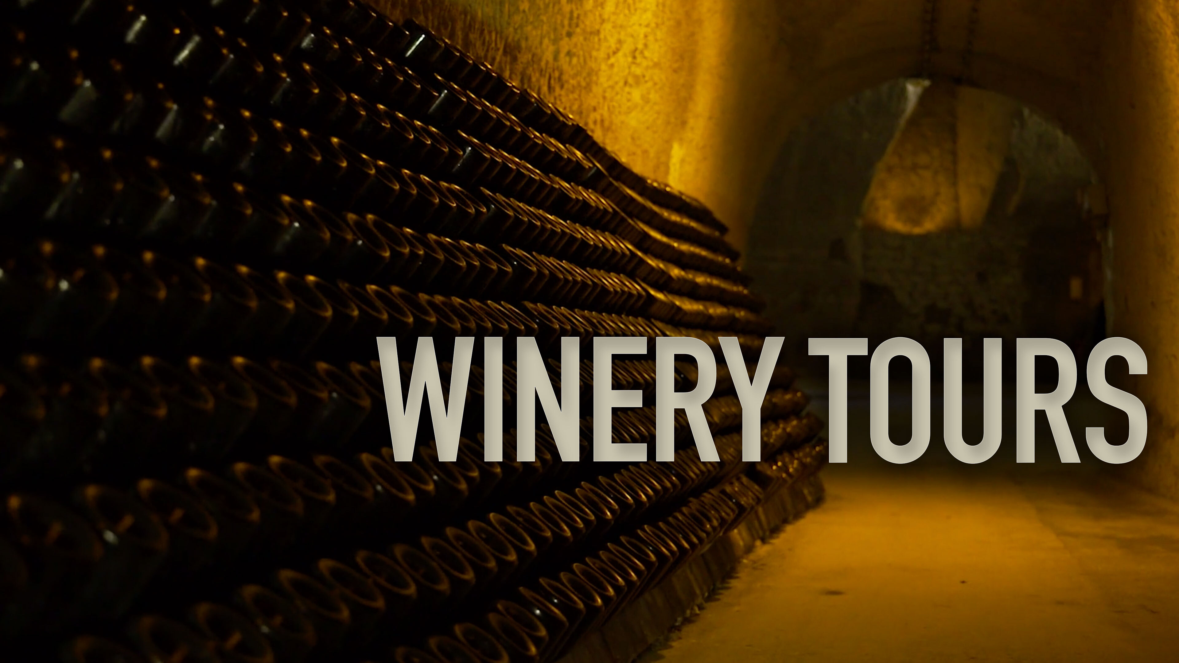 Winery Tours