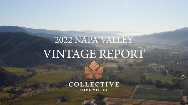 2022 Napa Valley Vintage Report