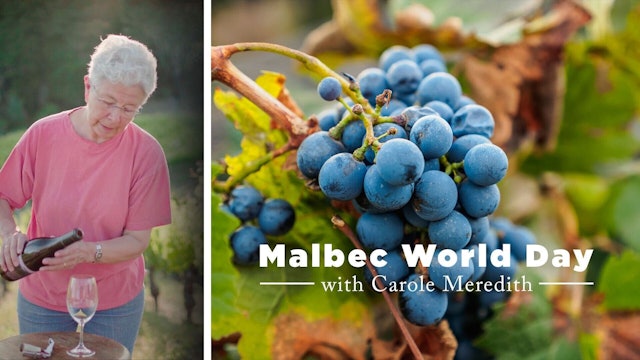 Celebrating Malbec Day with Carole Meredith 