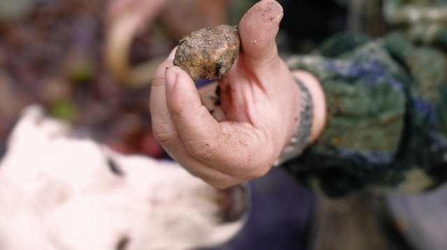 Sip Trip | Episode 7: This Dog Can Hunt