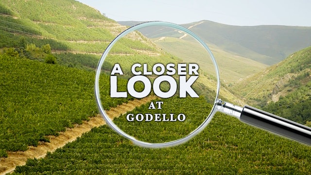 A Closer Look at Godello