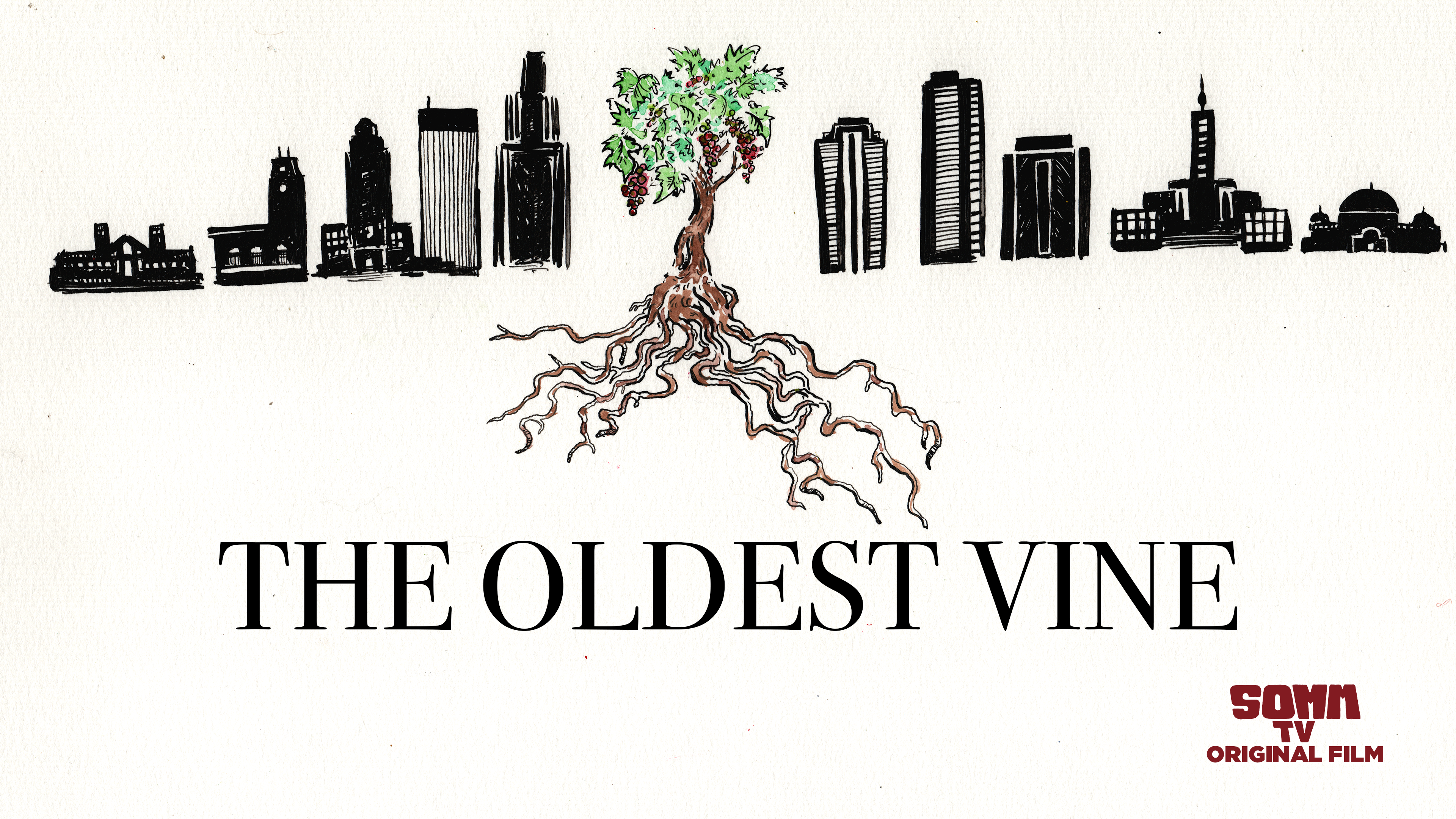 The Oldest Vine Collection
