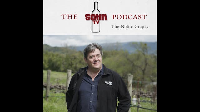 SommTV Podcast: The Noble Grapes
