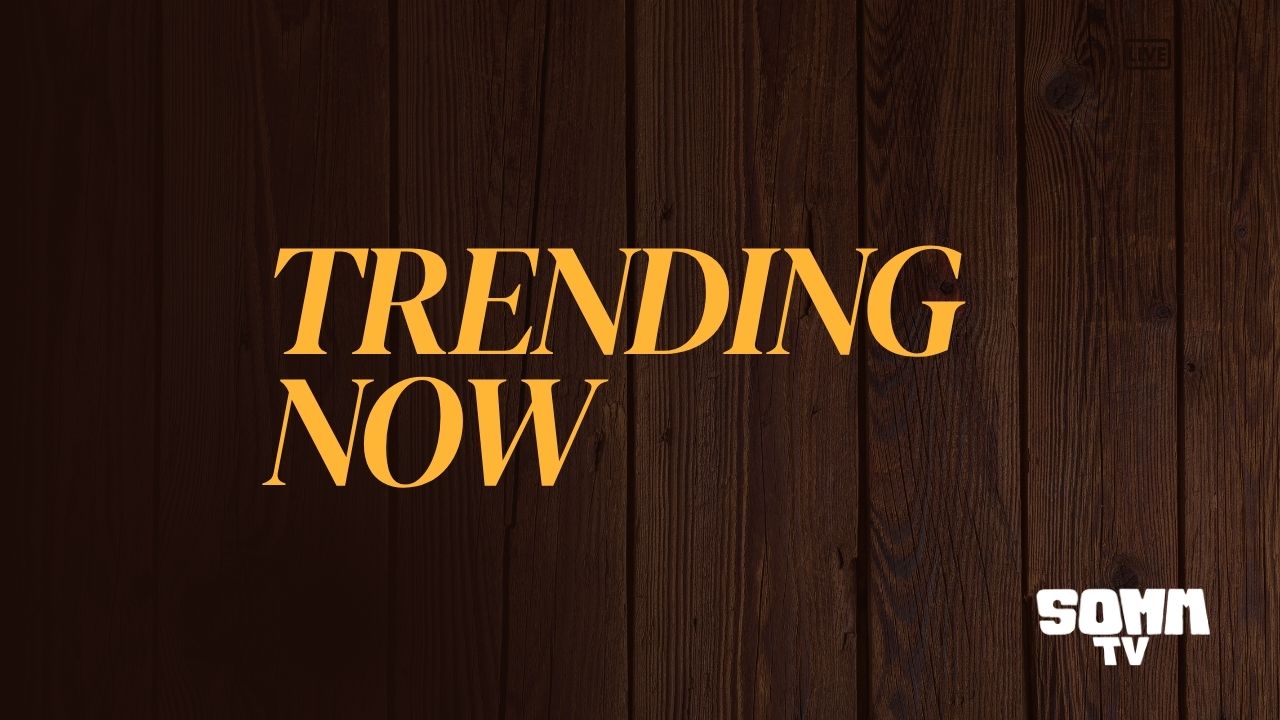 TRENDING NOW