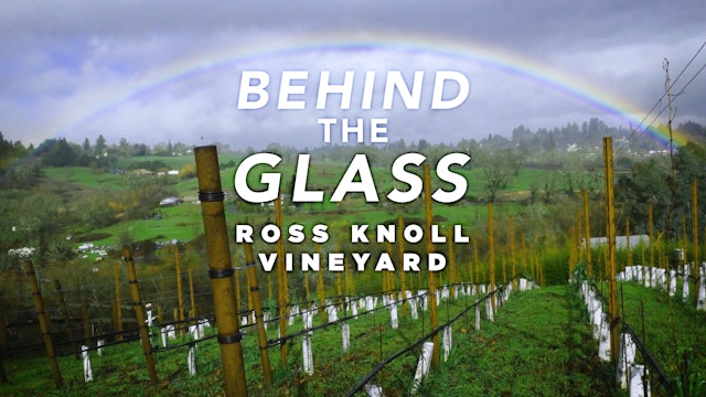 Behind the Glass: Ross Knoll Vineyard