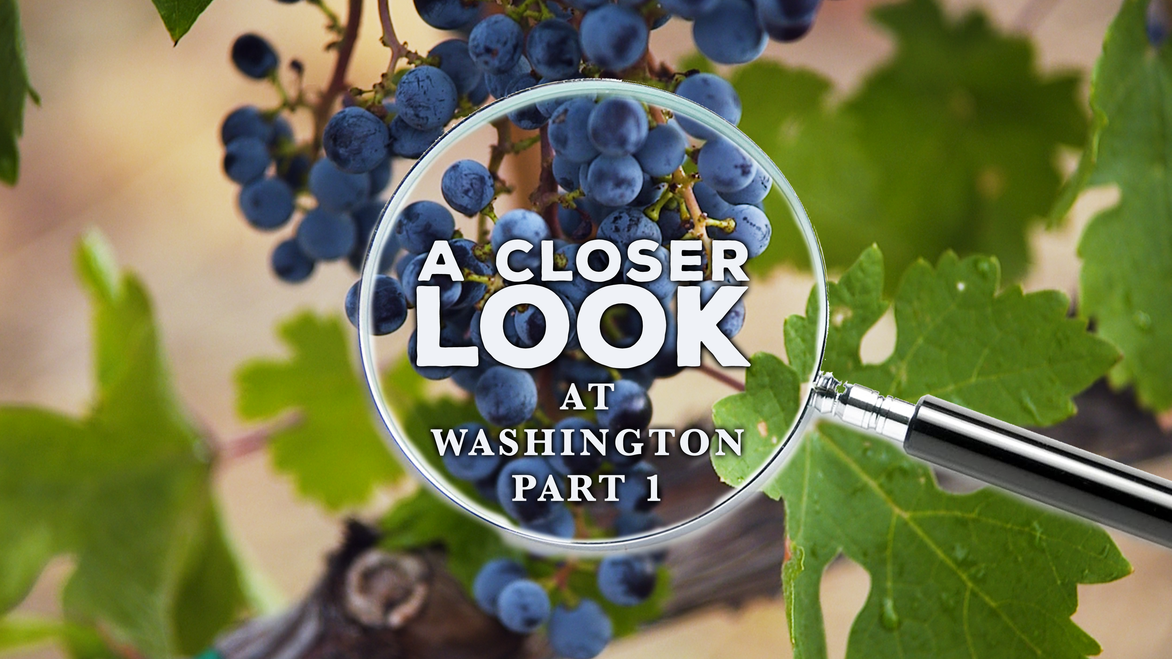 A Closer Look at Washington State: Part 1