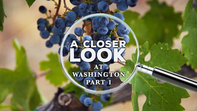 A Closer Look at Washington State: Part 1