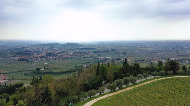 Sip Trip | Episode 5: Digging Deep, M...