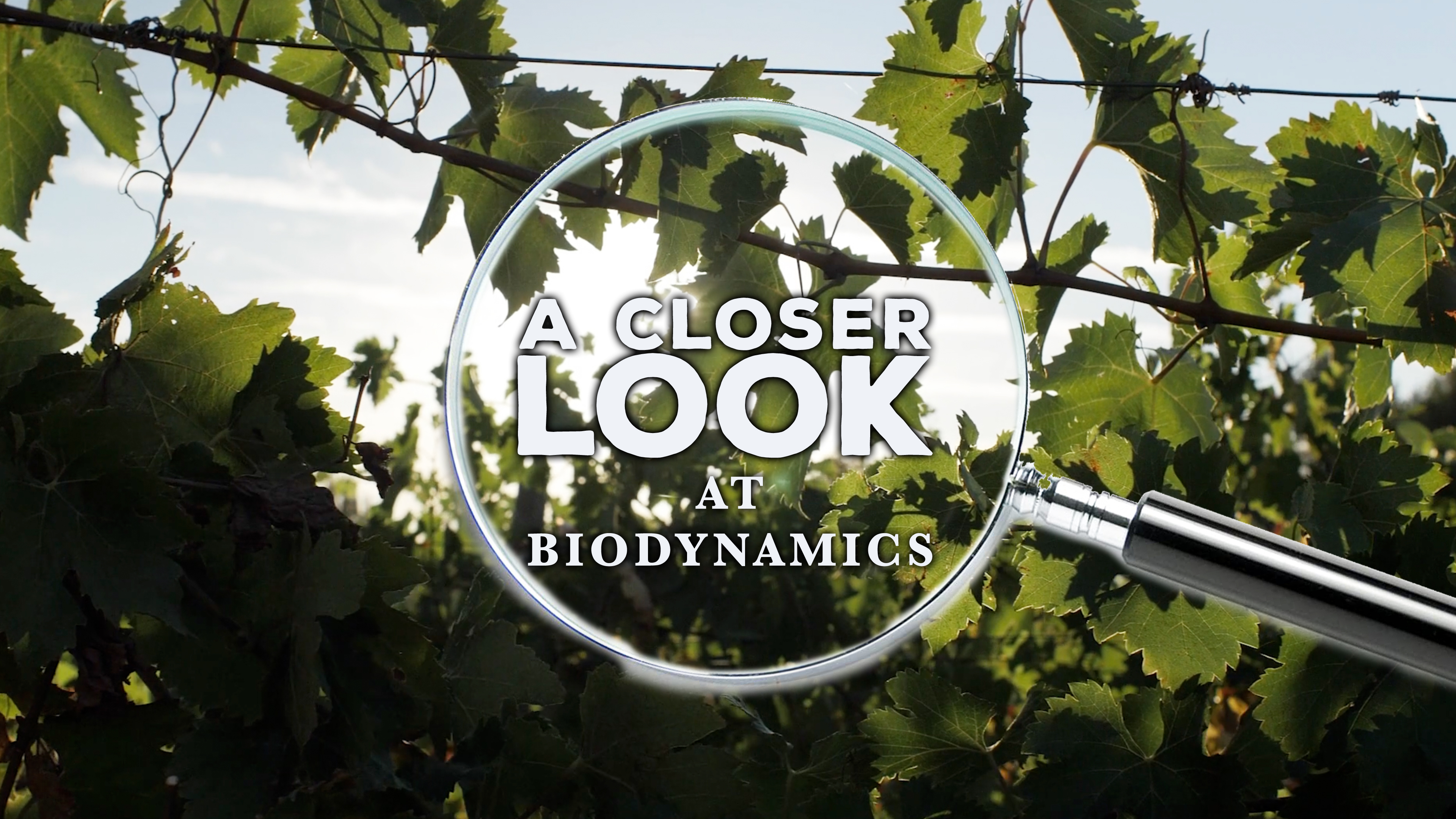 A Closer Look at Biodynamics