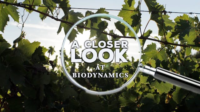 A Closer Look at Biodynamics