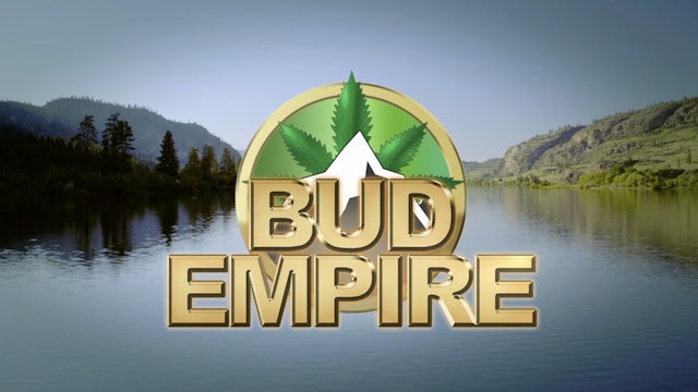 Bud Empire