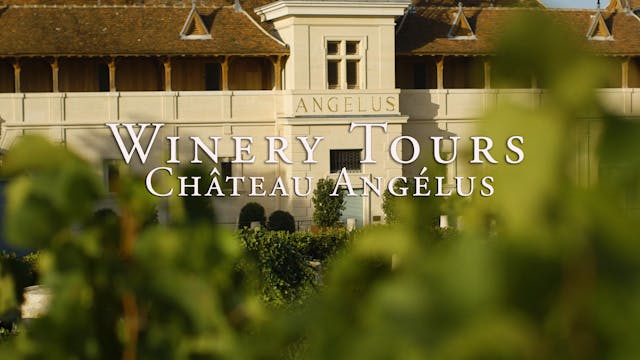 Château Angélus Winery Tour