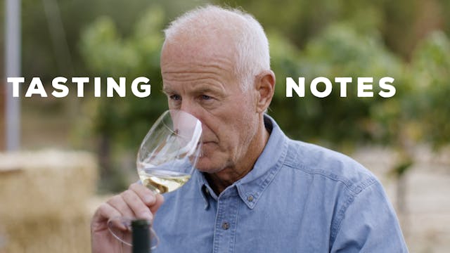 Tasting Notes: 2013 v. 2018 Chardonnay 
