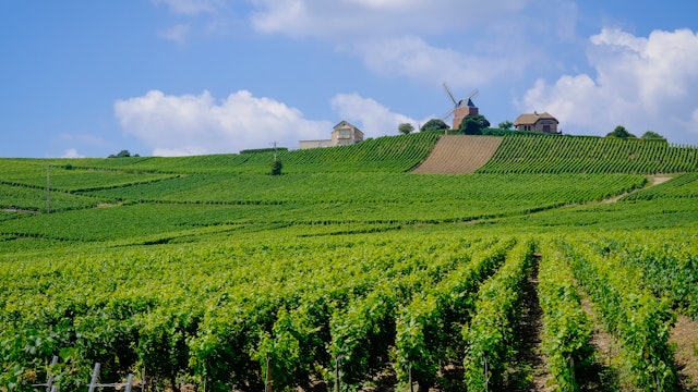 The Beauty of Champagne, France
