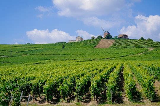 The Beauty of Champagne, France