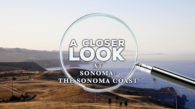 A Closer Look at Sonoma: The Sonoma Coast