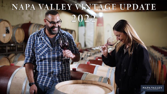 Napa Valley Vintage Update: 2022
