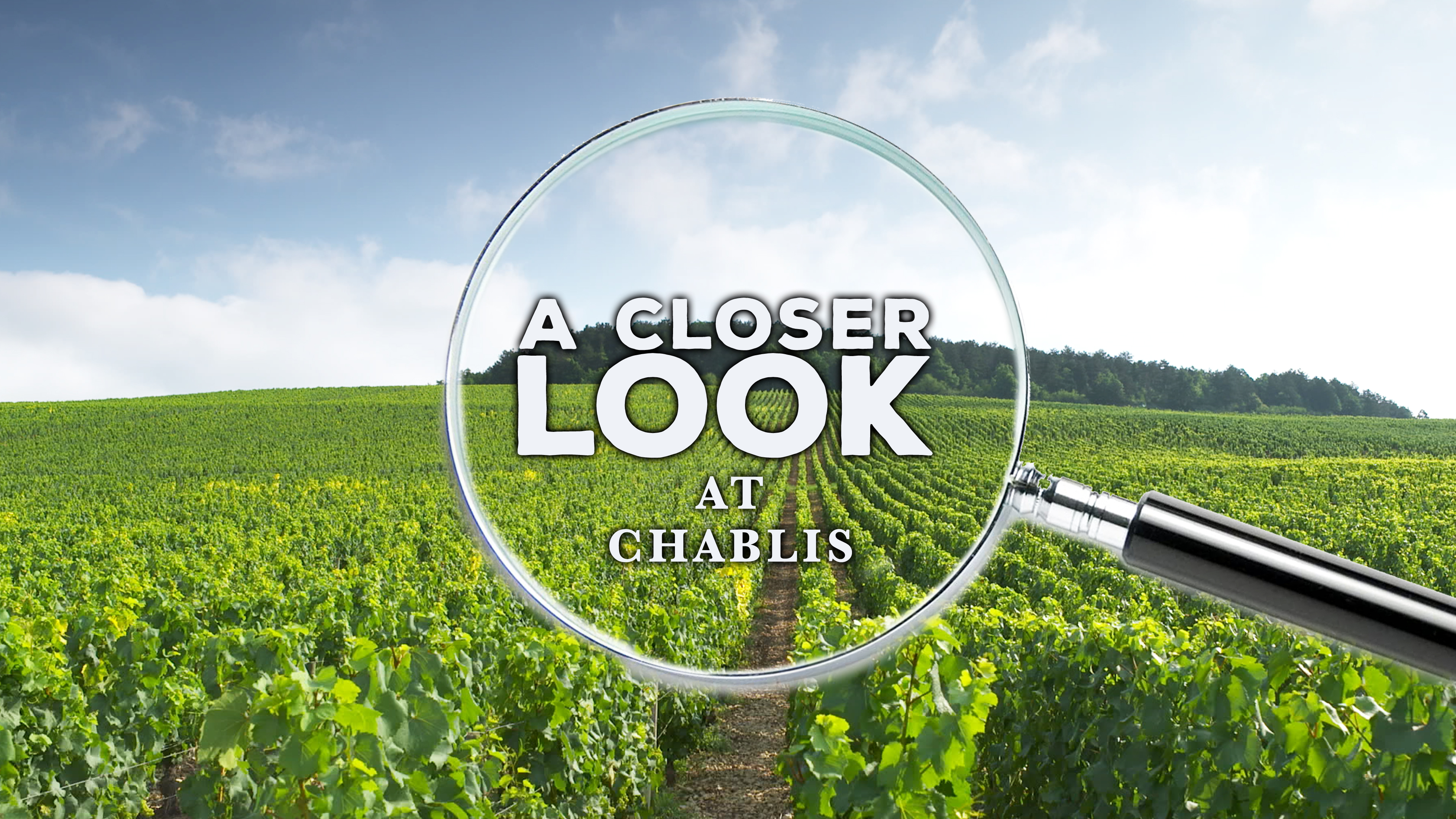 A Closer Look at Chablis