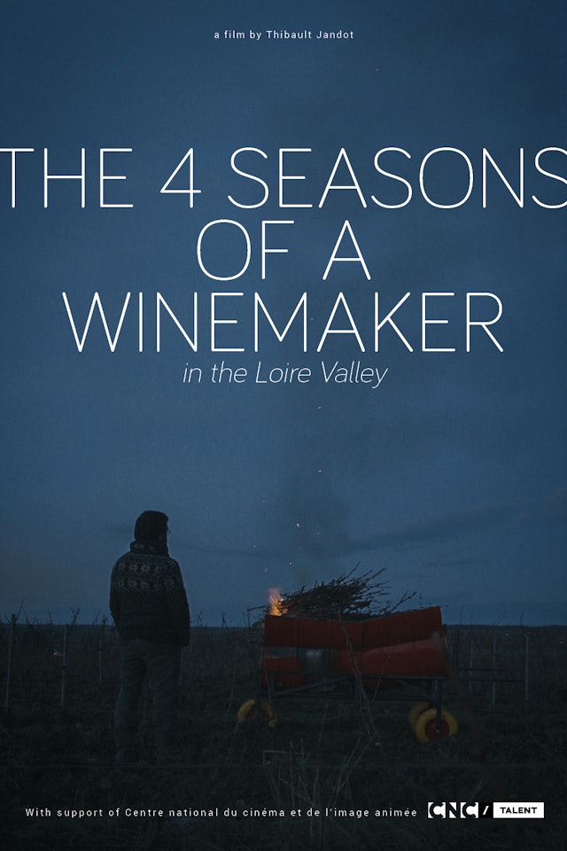 The 4 Seasons of a Winemaker