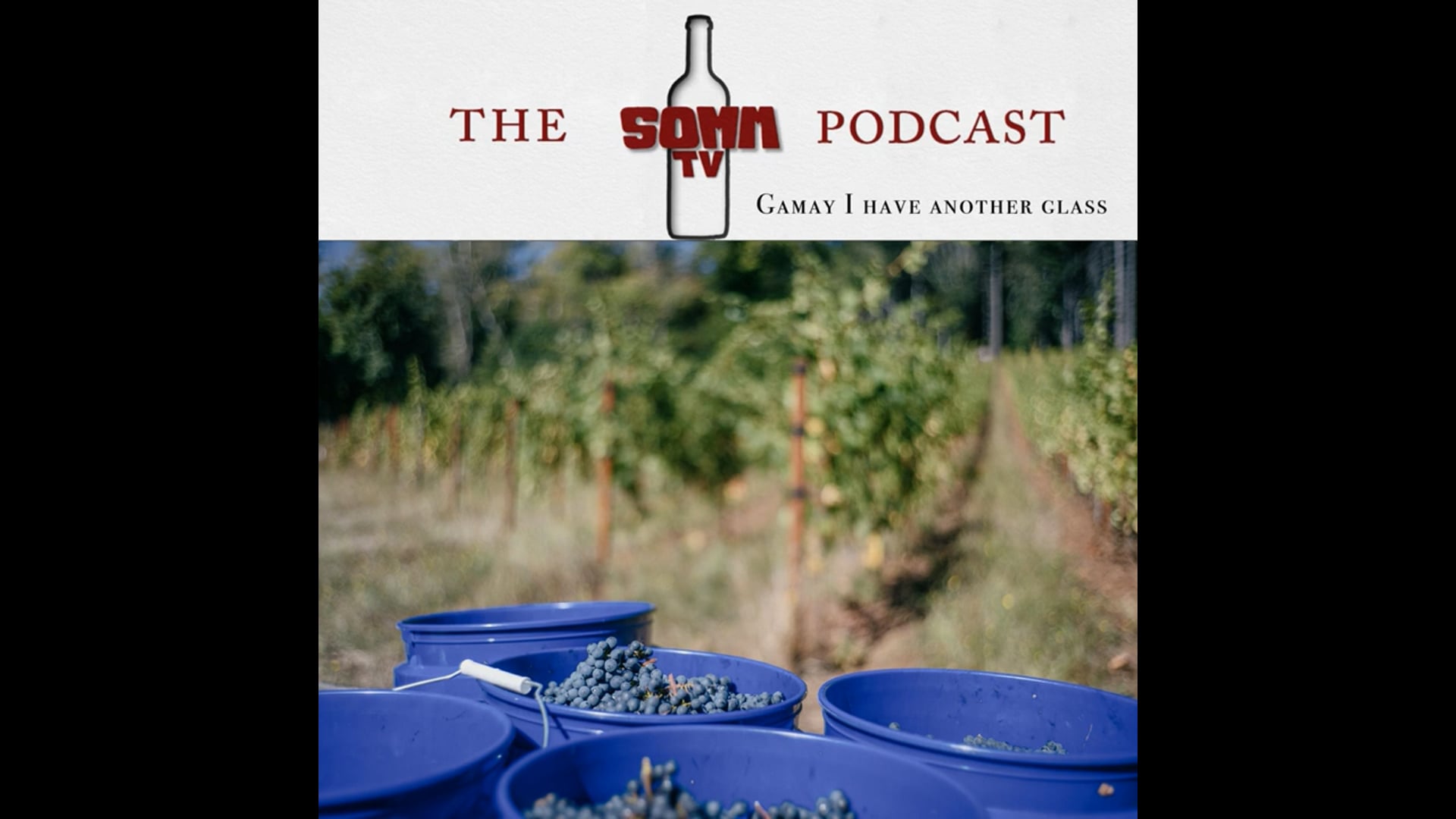 Gamay I have another glass?