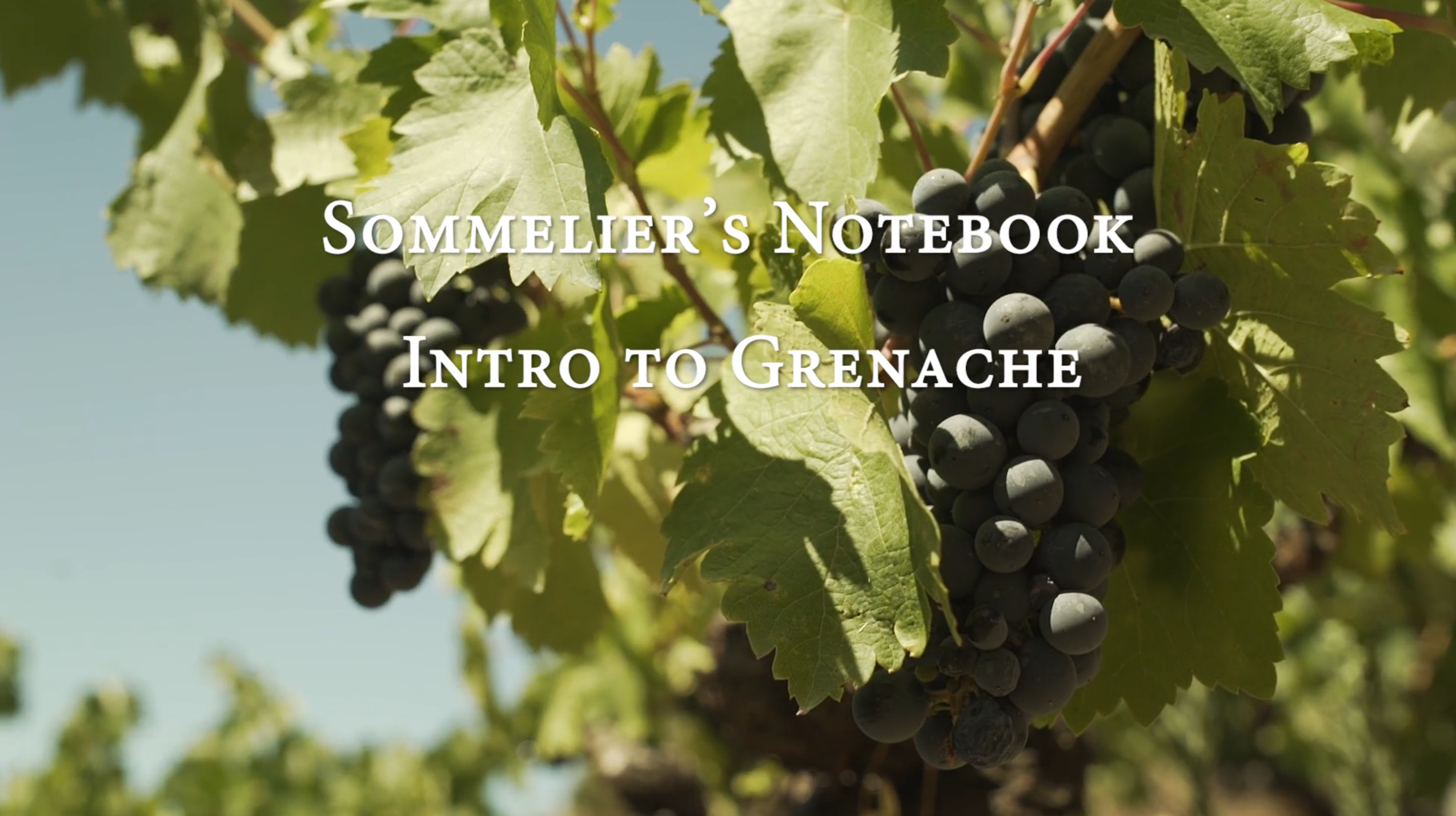 An Intro to Grenache