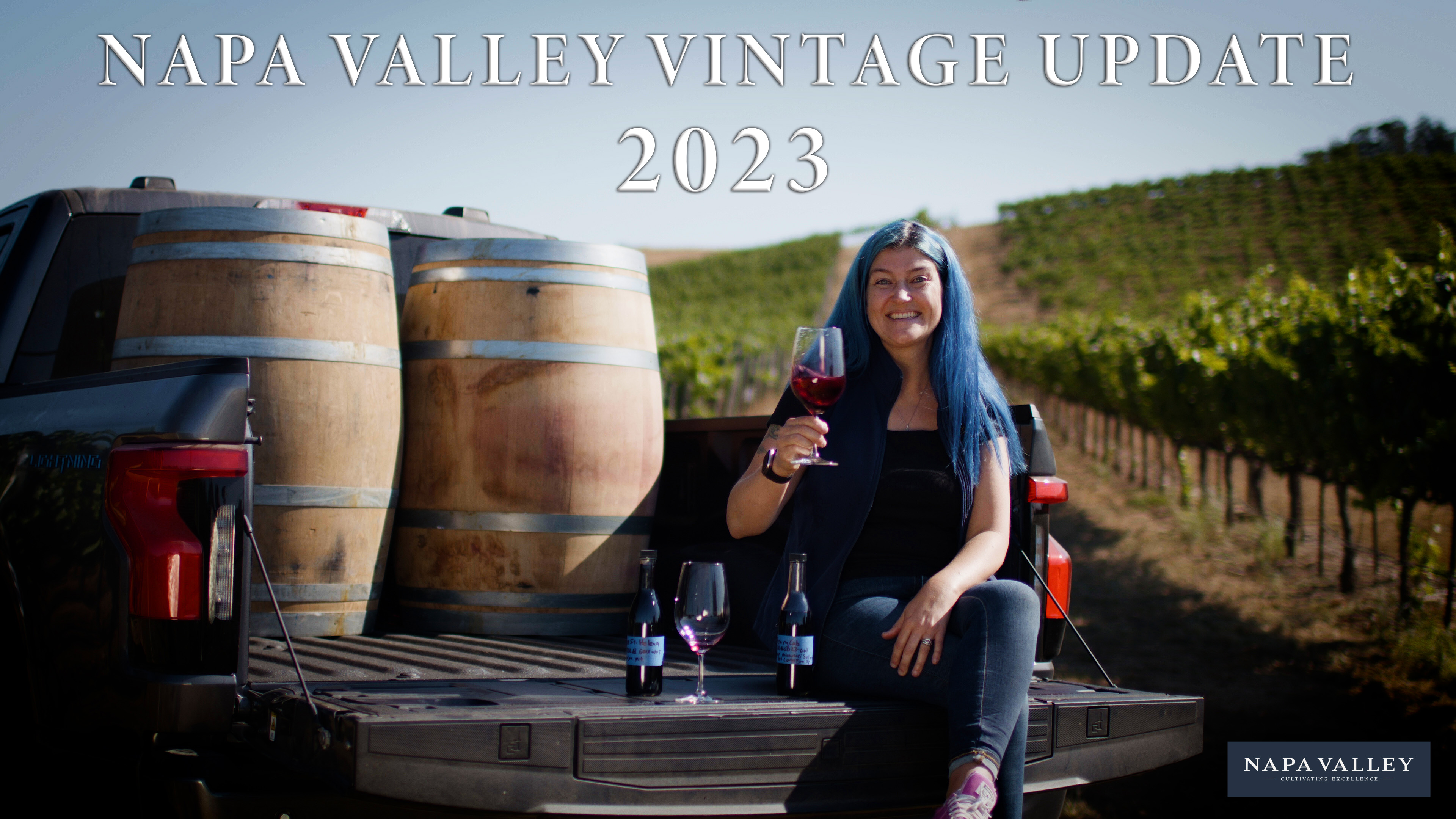 Napa Valley Vintage Update: 2023