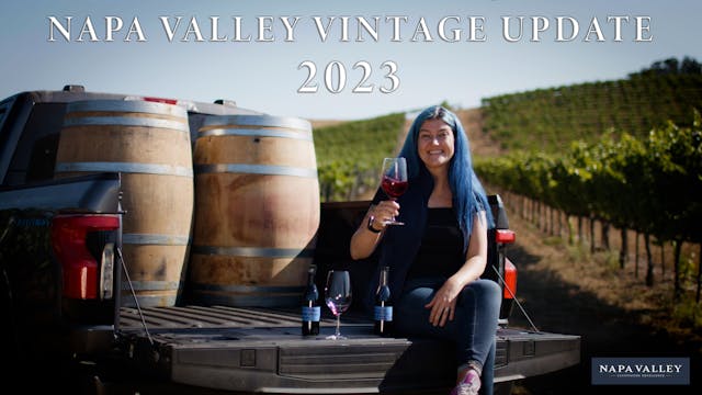 Napa Valley Vintage Update: 2023