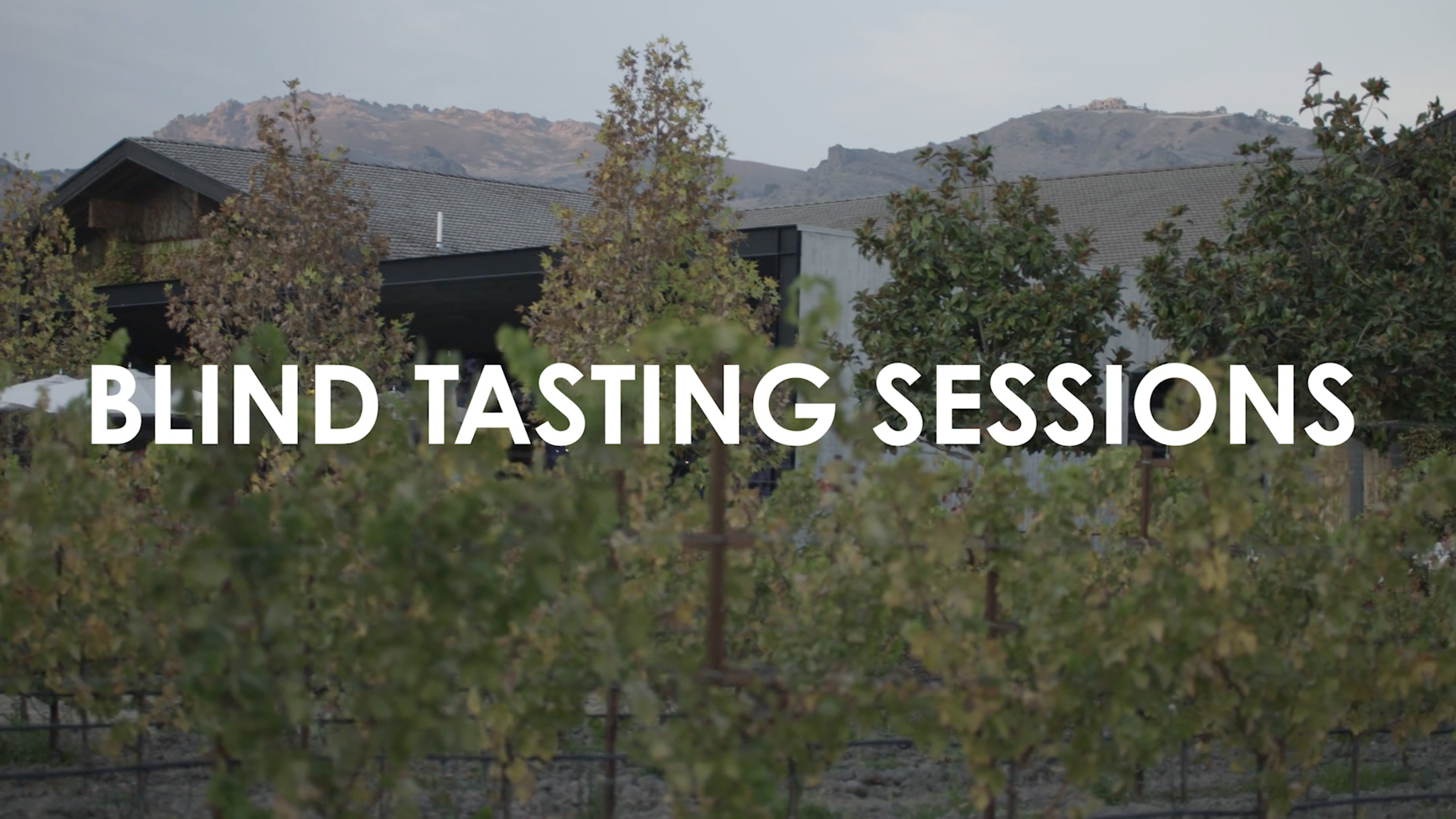 Blind Tasting Sessions, Season 2