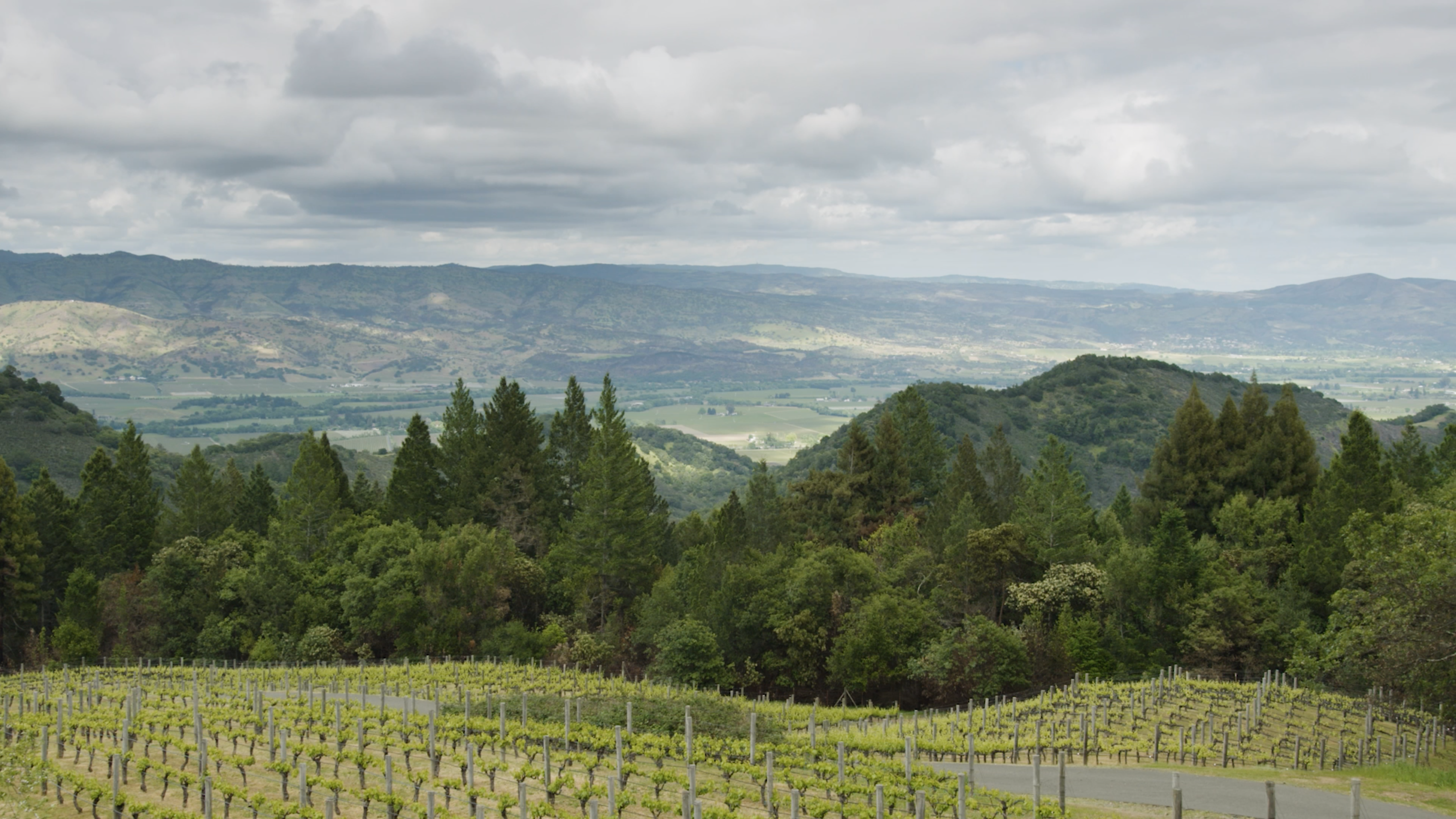 The Beauty of California